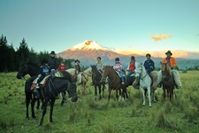 caballos coto jcc